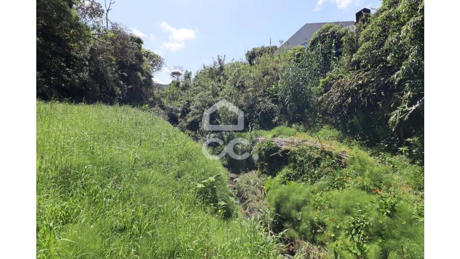 Terreno para Venda em Porto Formoso Foto 4
