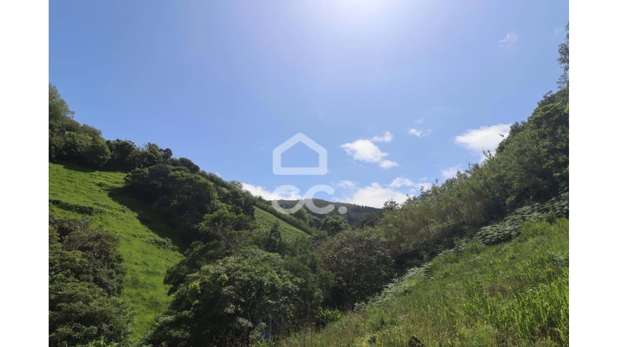 Terreno para Venda em Porto Formoso Foto 7