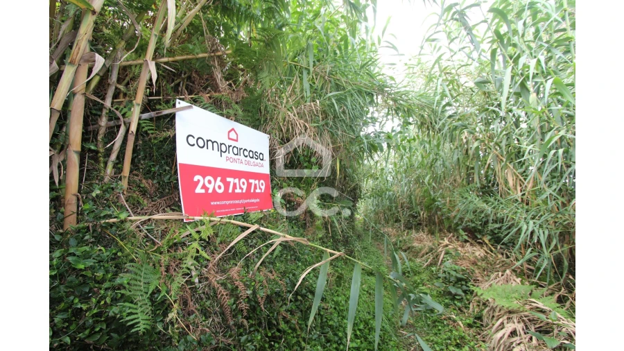 Terreno para Venda em Porto Formoso Foto 11