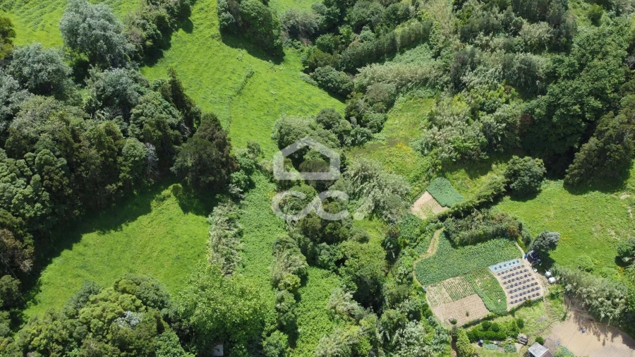 Terreno para Venda em Porto Formoso Foto 6