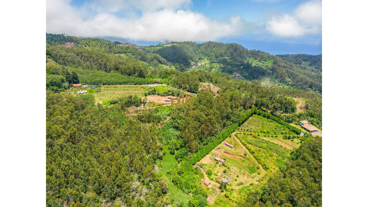 Terreno para Venda em Santo Antonio da Serra Foto 18