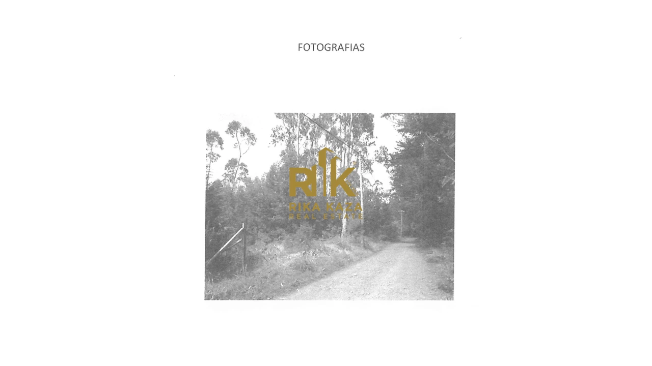 Terreno para Venda em Santo Antonio da Serra Foto 26