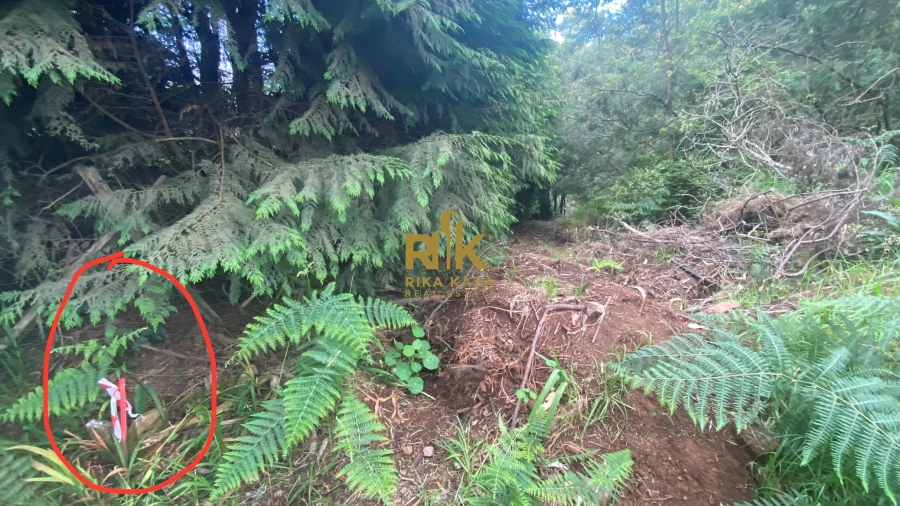 Terreno para Venda em Santo Antonio da Serra Foto 29