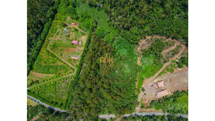 Terreno para Venda em Santo Antonio da Serra Foto 10