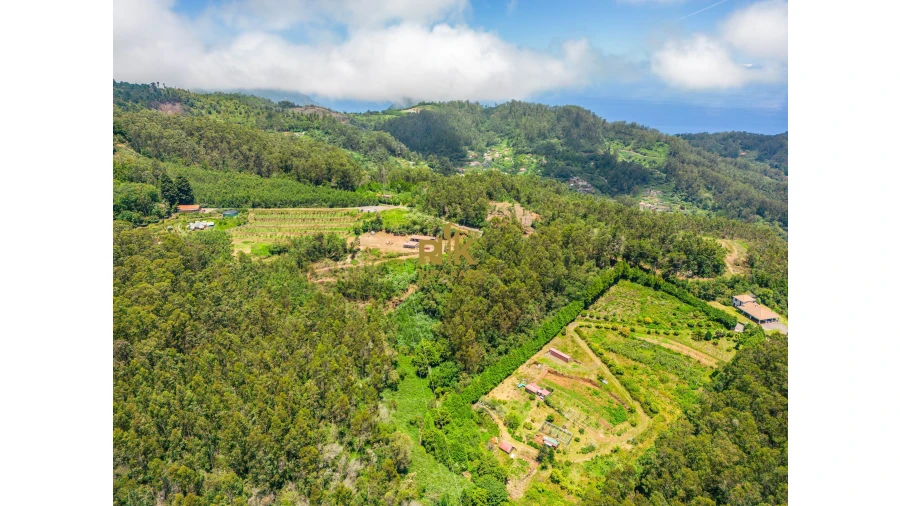 Terreno para Venda em Santo Antonio da Serra Foto 18