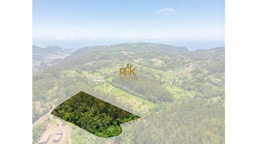 Terreno para Venda em Santo Antonio da Serra Foto 14