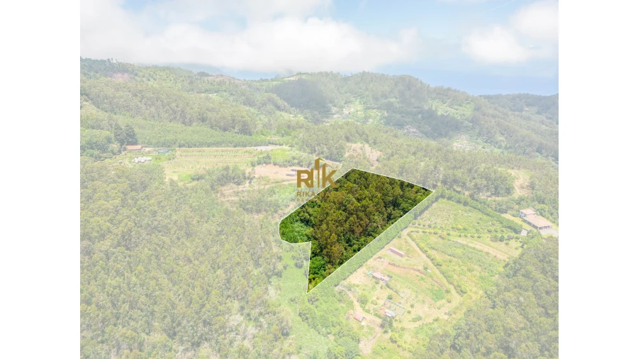 Terreno para Venda em Santo Antonio da Serra Foto 19