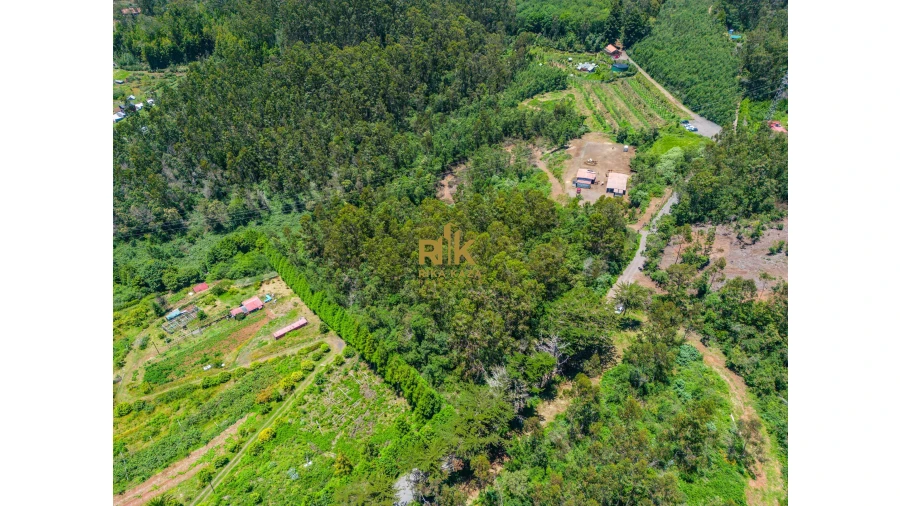 Terreno para Venda em Santo Antonio da Serra Foto 22