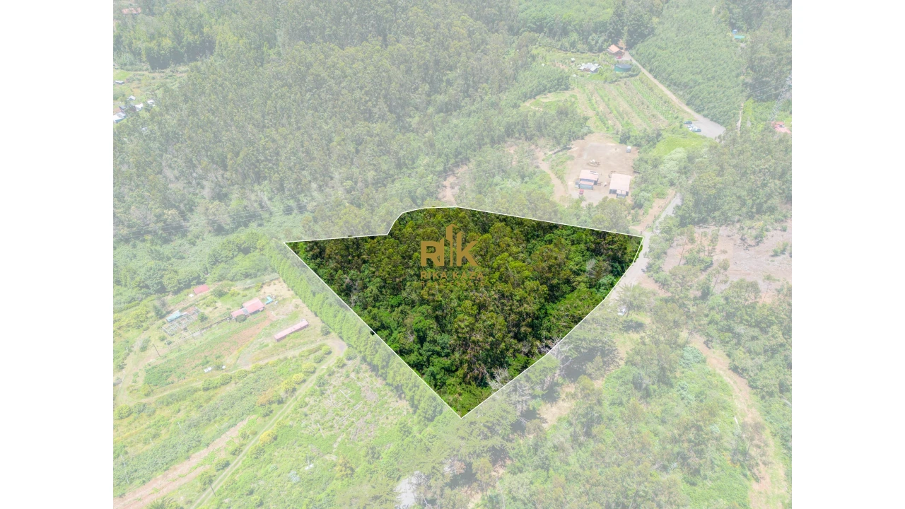 Terreno para Venda em Santo Antonio da Serra Foto 23