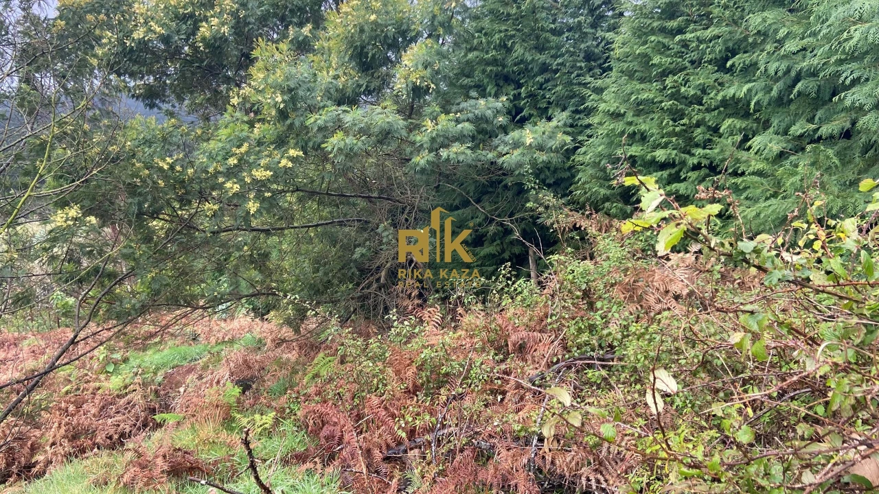 Terreno para Venda em Santo Antonio da Serra Foto 30