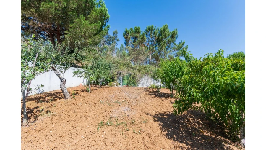 Moradia T3 para Venda em Olho Marinho Foto 44