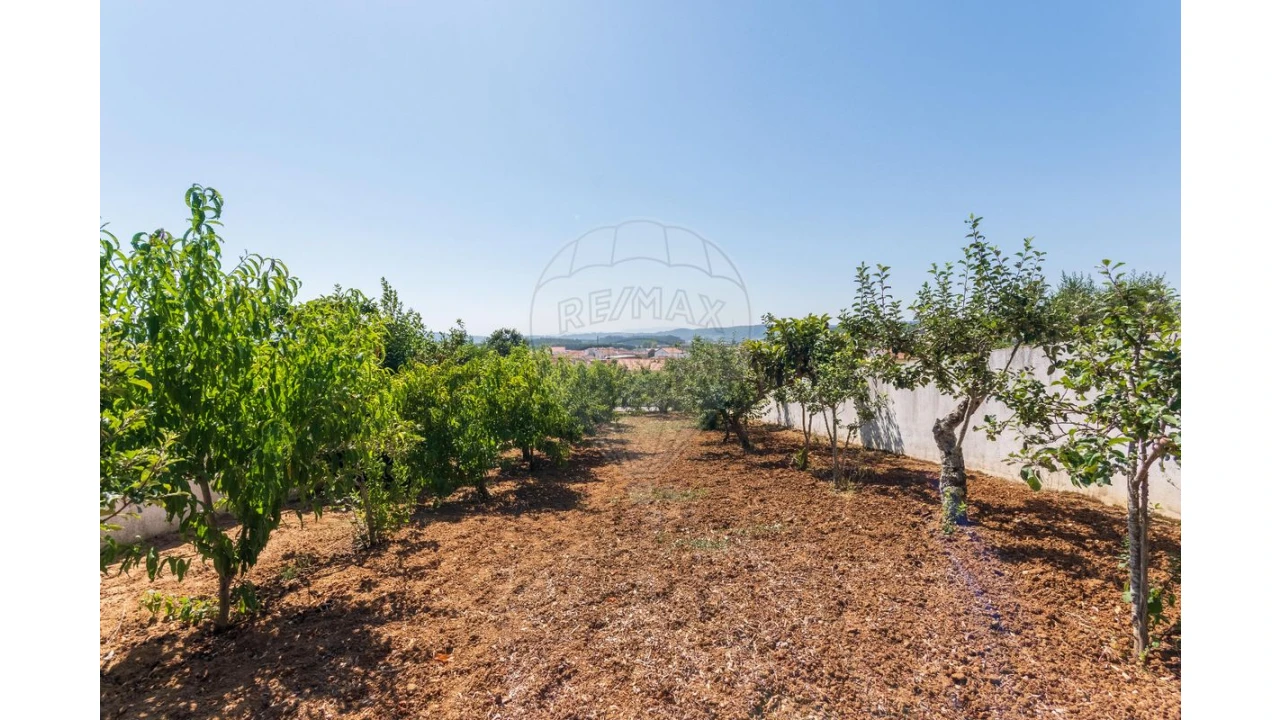 Moradia T3 para Venda em Olho Marinho Foto 45