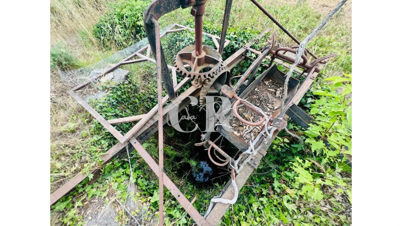 Terreno para Venda em Graça Foto 9