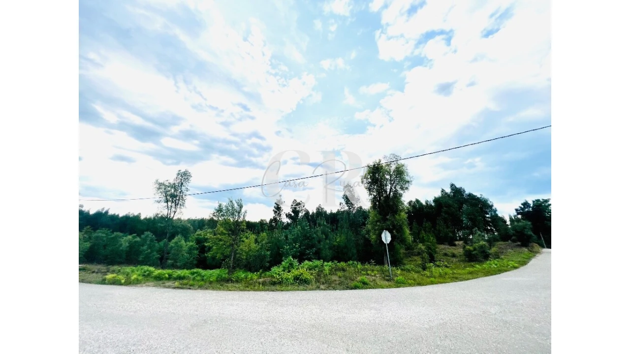Terreno para Venda em Graça Foto 15