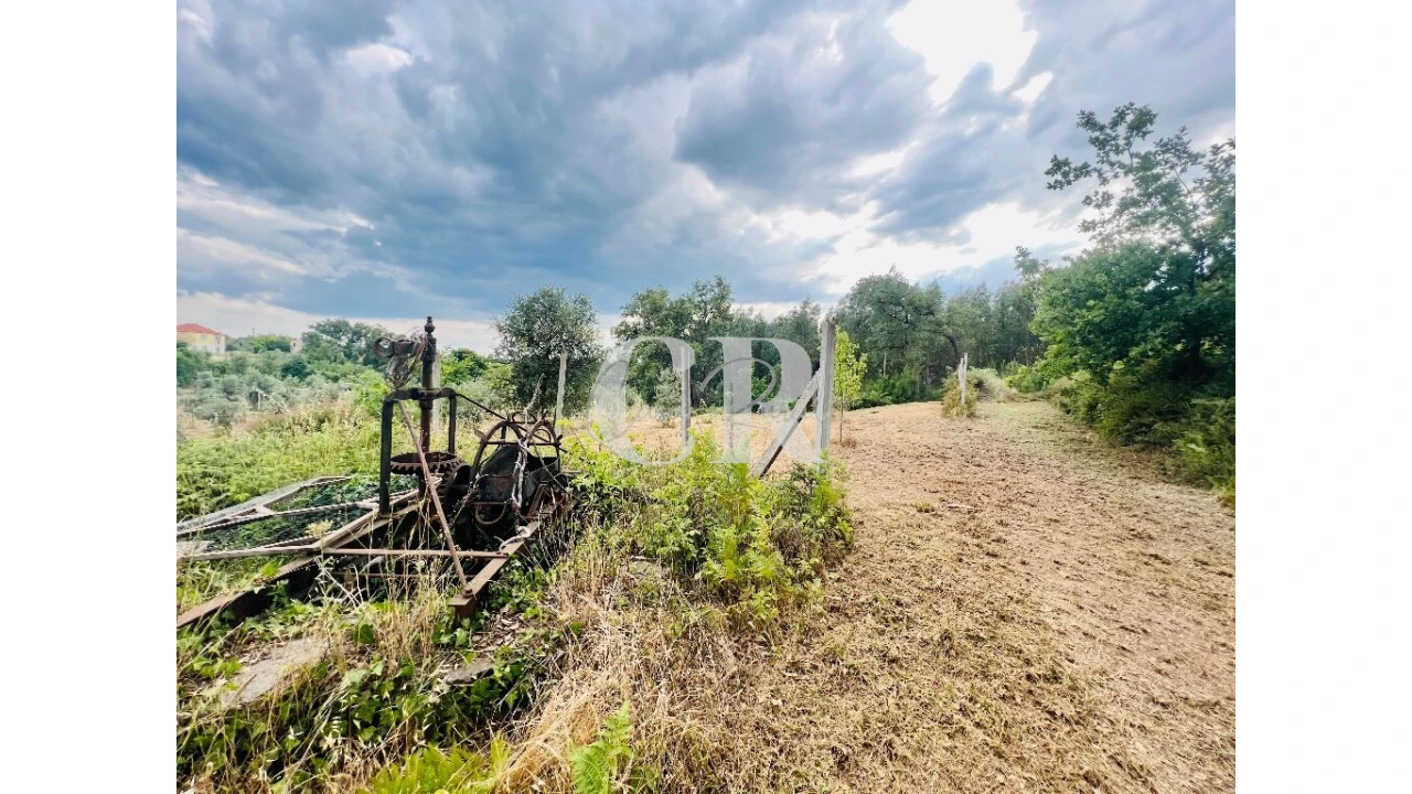 Terreno para Venda em Graça Foto 7