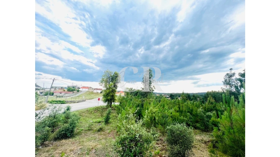 Terreno para Venda em Graça Foto 14