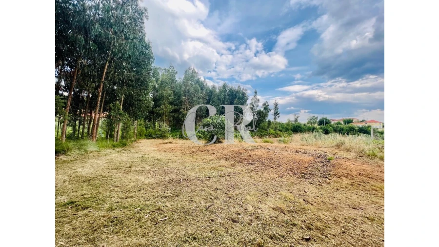 Terreno para Venda em Graça Foto 6