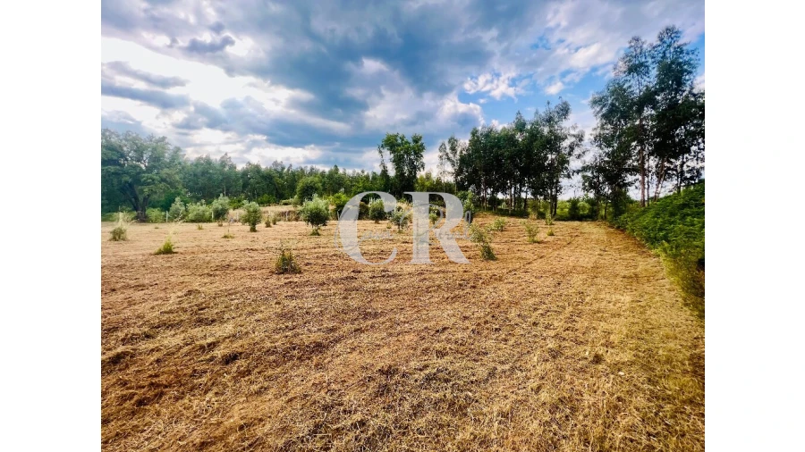 Terreno para Venda em Graça Foto 5