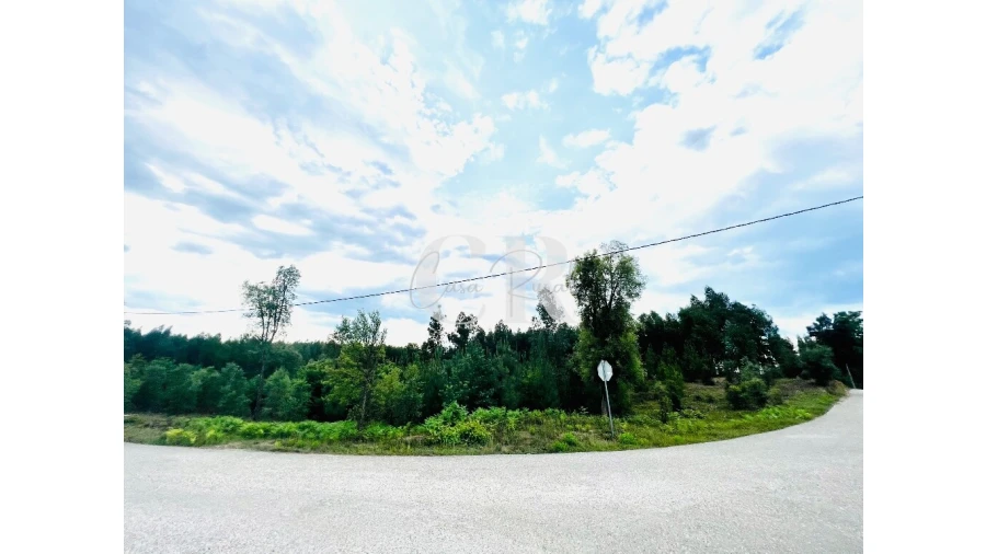 Terreno para Venda em Graça Foto 15