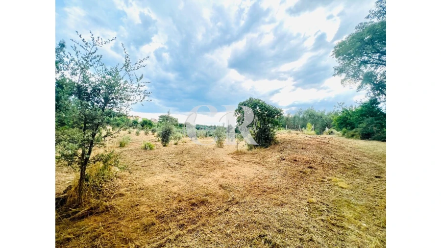 Terreno para Venda em Graça Foto 3