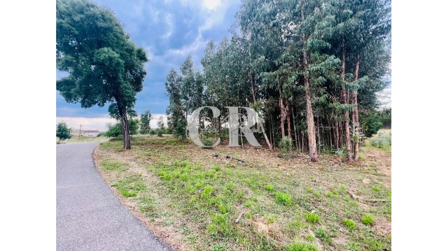 Terreno para Venda em Graça Foto 11