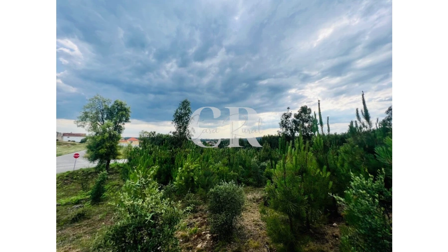 Terreno para Venda em Graça Foto 13