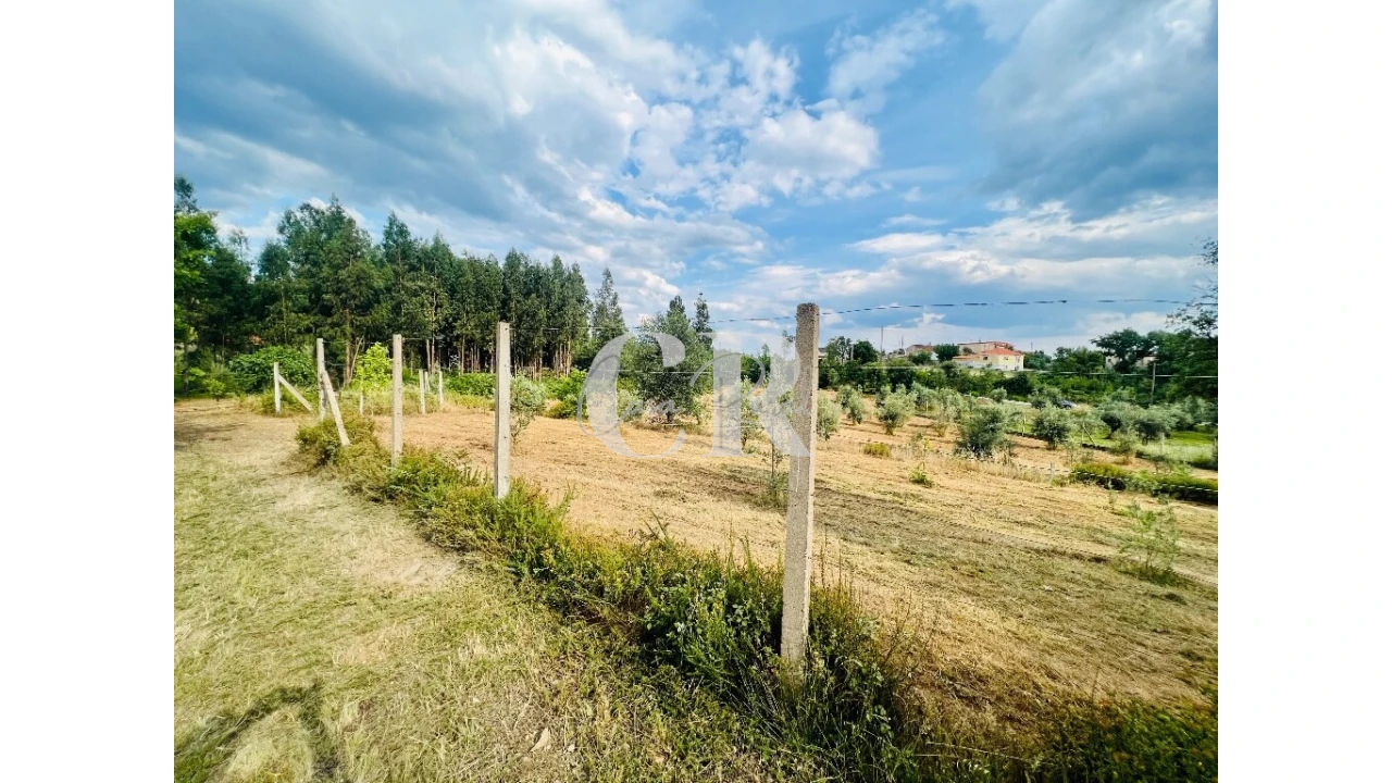 Terreno para Venda em Graça Foto 1