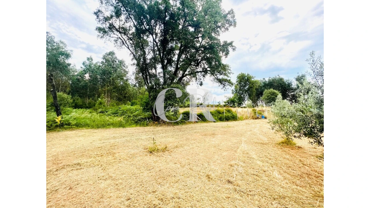 Terreno para Venda em Graça Foto 18
