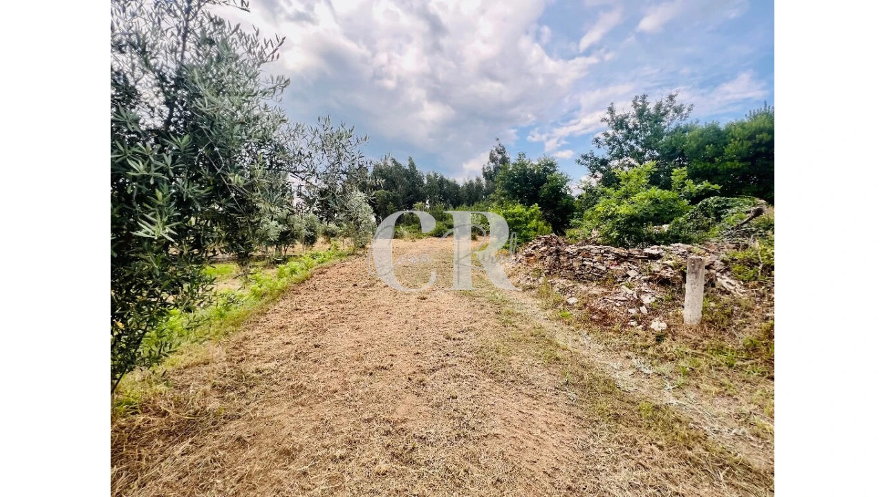 Terreno para Venda em Graça Foto 17