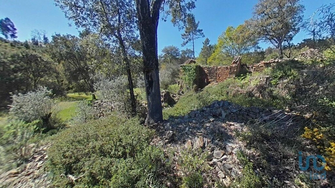 Moradia para Venda em Alvares Foto 13