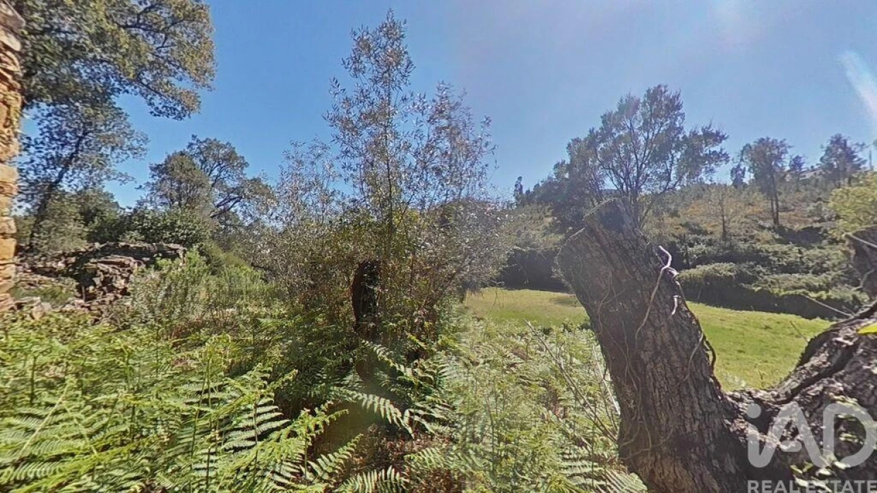 Moradia para Venda em Alvares Foto 19