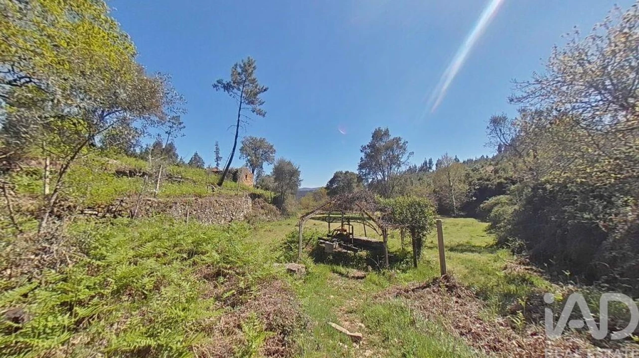 Moradia para Venda em Alvares Foto 18