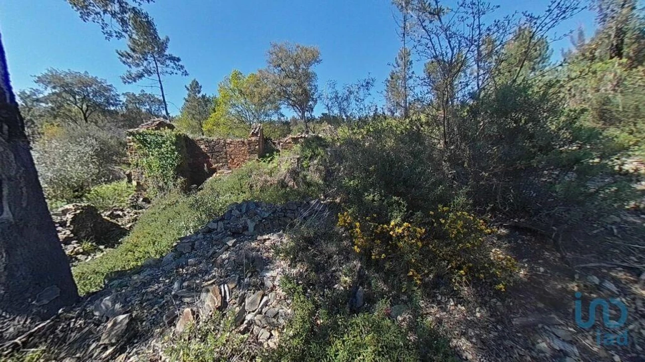 Moradia para Venda em Alvares Foto 14