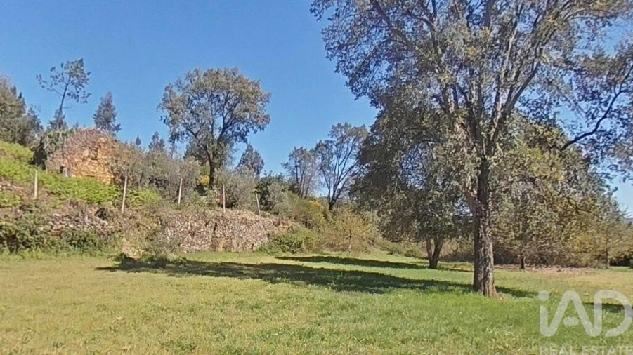 Moradia para Venda em Alvares Foto 23