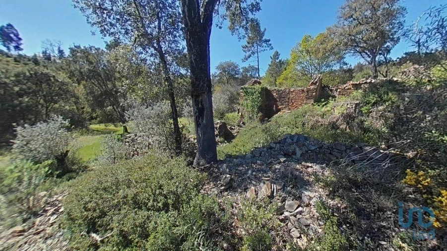 Moradia para Venda em Alvares Foto 13