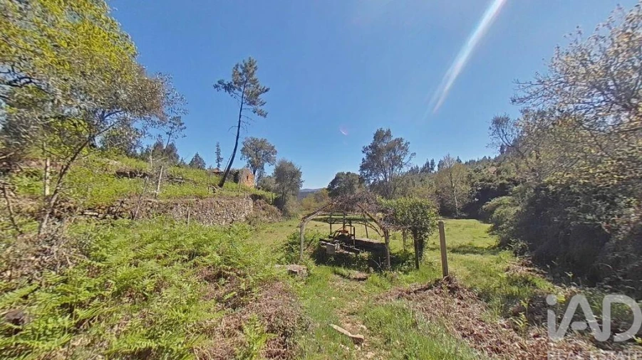 Moradia para Venda em Alvares Foto 18