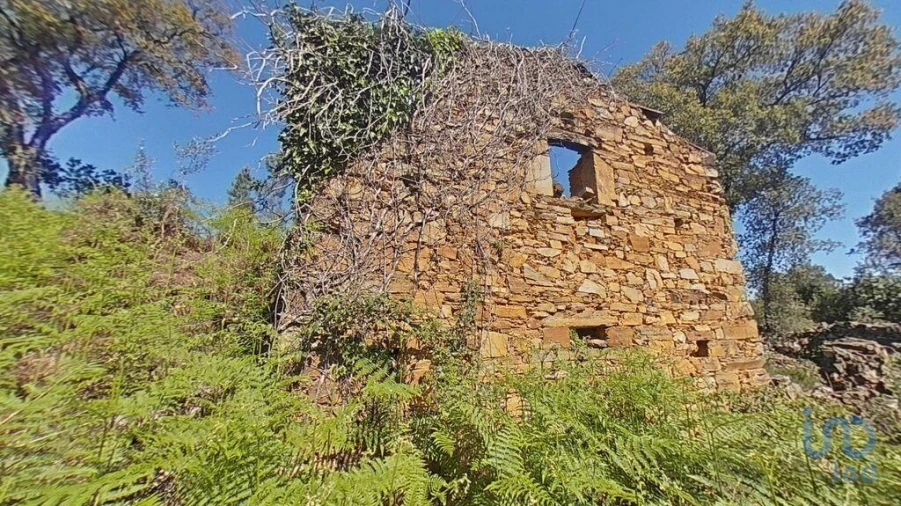 Moradia para Venda em Alvares Foto 10