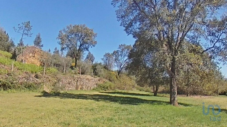 Moradia para Venda em Alvares Foto 5