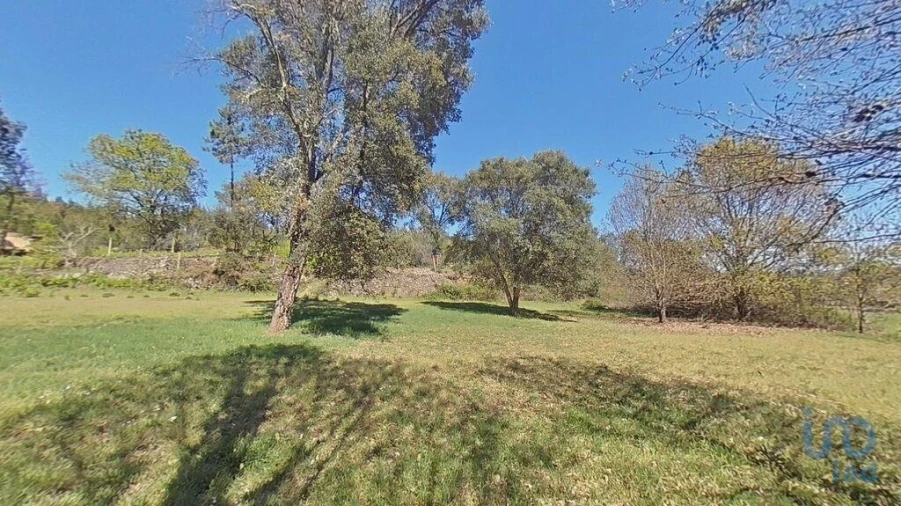 Moradia para Venda em Alvares Foto 6