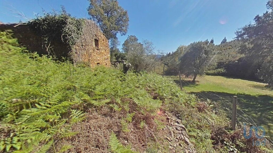 Moradia para Venda em Alvares Foto 4