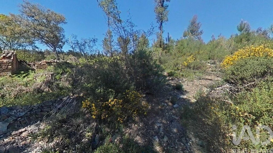 Moradia para Venda em Alvares Foto 16