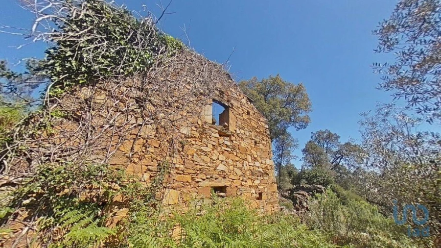 Moradia para Venda em Alvares Foto 2