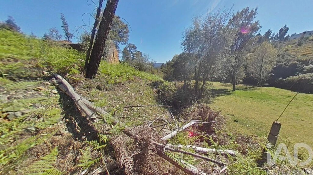 Moradia para Venda em Alvares Foto 22