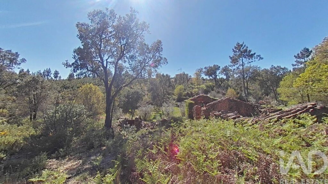 Moradia para Venda em Alvares Foto 20