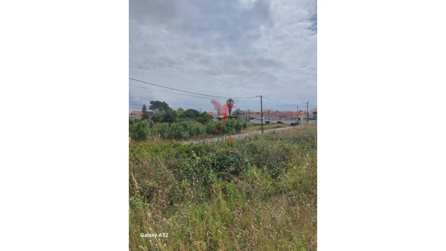 Terreno para Venda em Sesimbra (Castelo) Foto 5