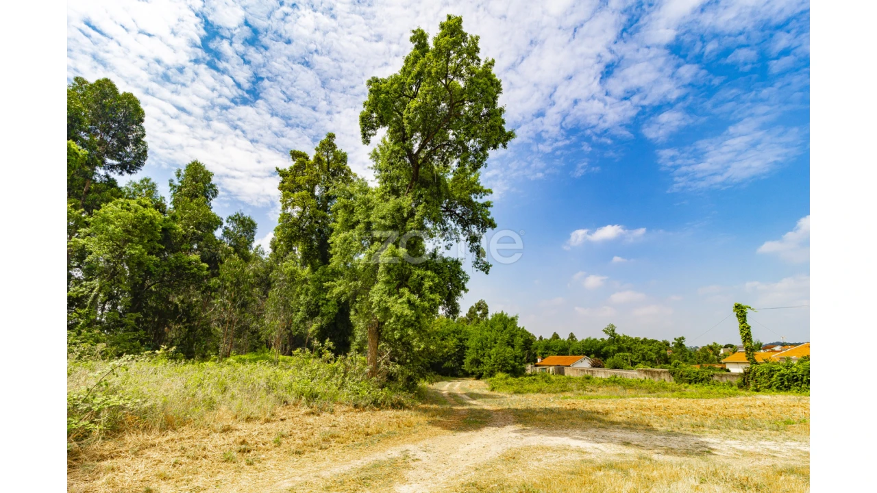 Terreno para Venda em Areias, Sequeirô, Lama e Palmeira Foto 8