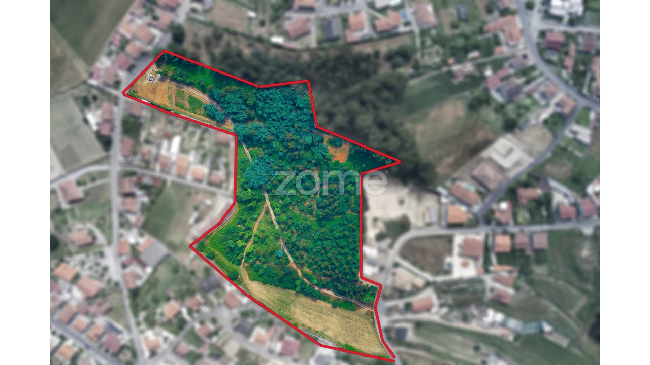 Terreno para Venda em Areias, Sequeirô, Lama e Palmeira Foto 2