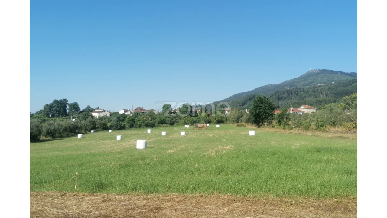 Terreno para Venda em Campo de Besteiros Foto 18