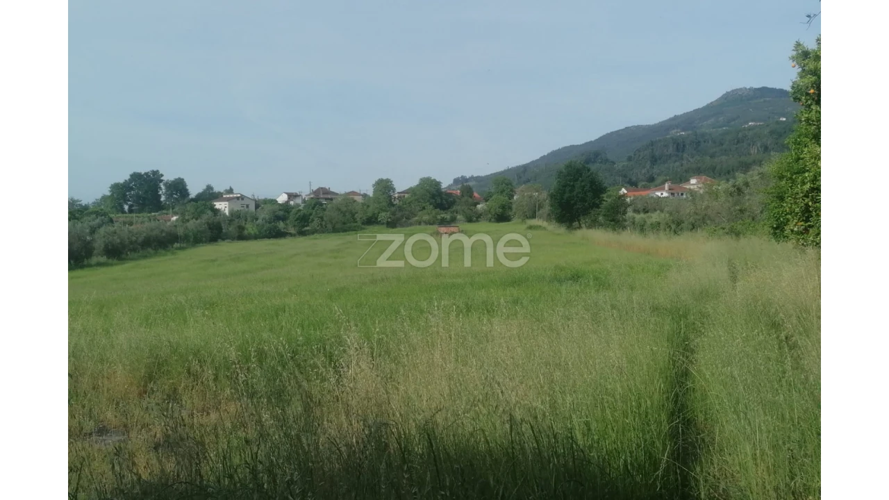 Terreno para Venda em Campo de Besteiros Foto 10
