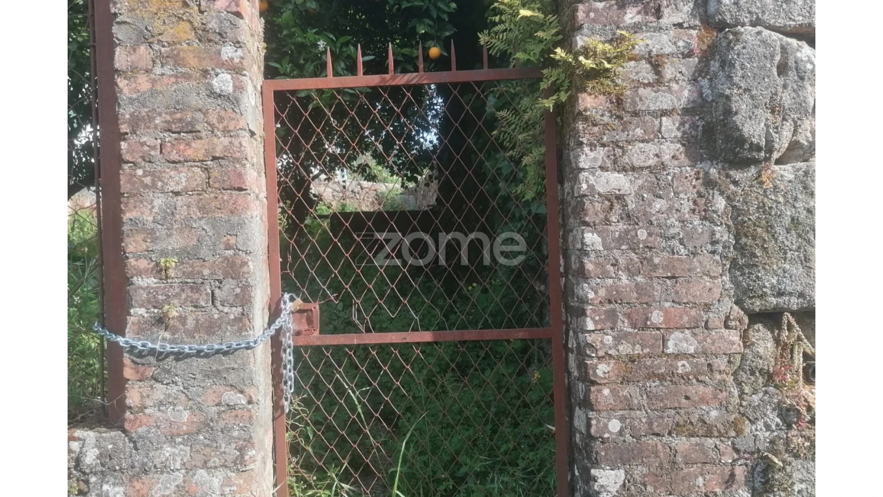 Terreno para Venda em Campo de Besteiros Foto 8